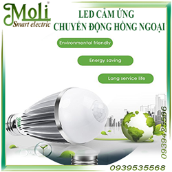  Đèn LED cảm ứng MOLI ML- BSL7