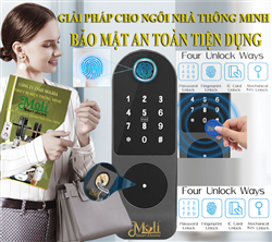 KHÓA CỬA VÂN TAY CỬA CỔNG CỬA SẮT